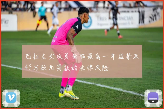 巴拉圭女议员面临最高一年监禁及45万欧元罚款的法律风险
